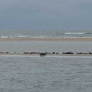 DSC07915